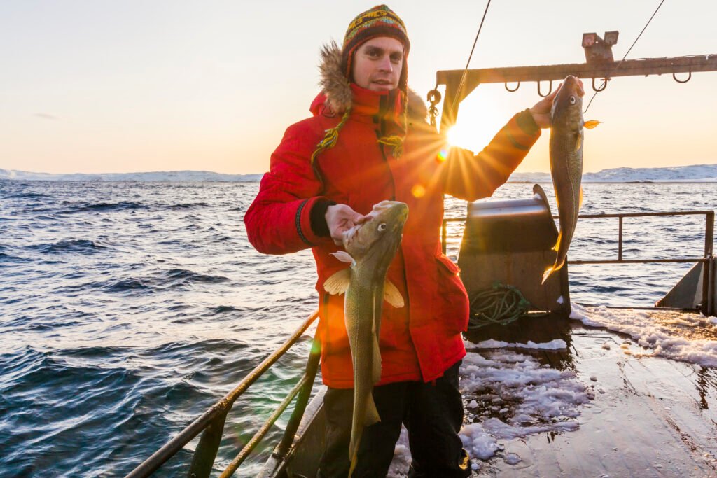 Fisherman on boat with cod in the hands